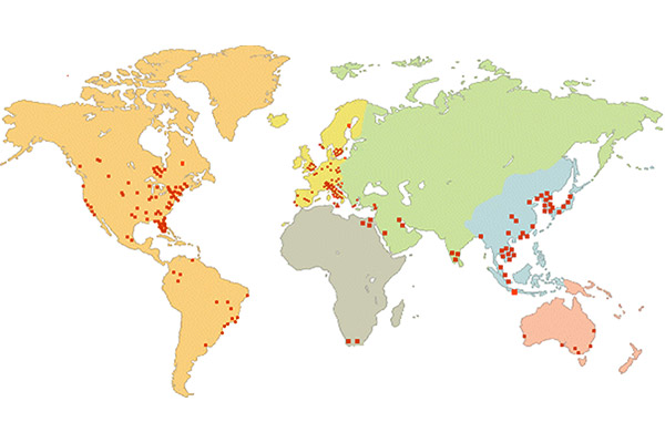 map marchetti dilatomer