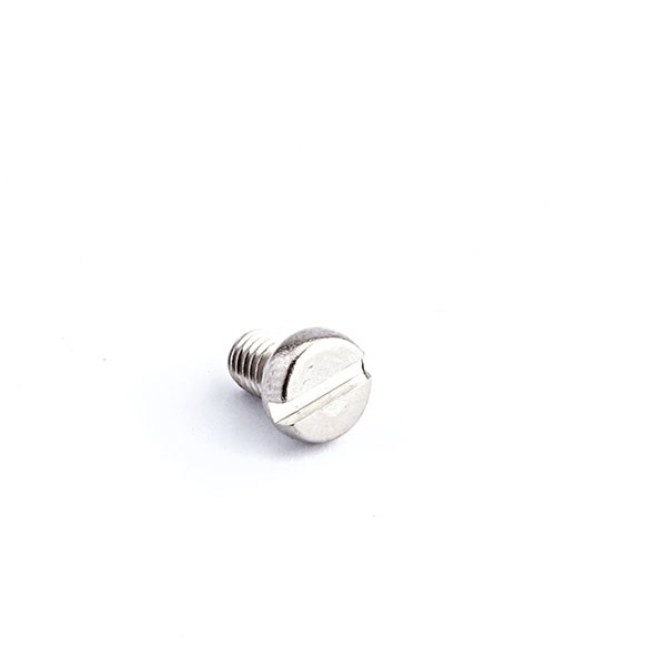 Screw for retaining ring